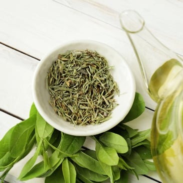 Green Tea Extract